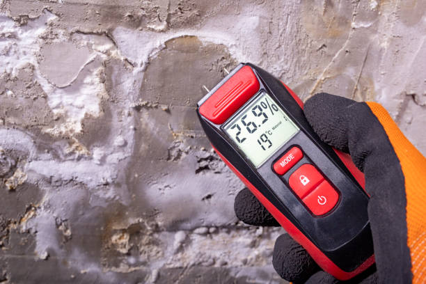 Best Post-Flood Mold Remediation in Whitehall, OH